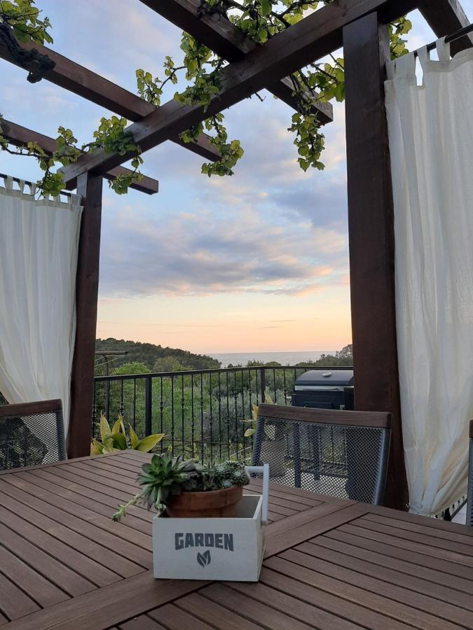 Apartament Casa Nonna Tereza Premantura Zewnętrze zdjęcie